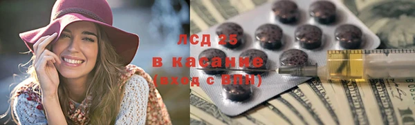 spice Аркадак