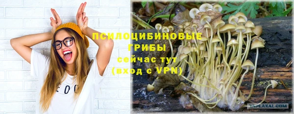 spice Аркадак