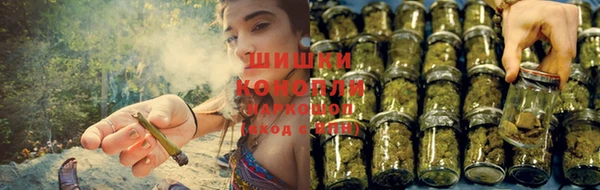 spice Аркадак