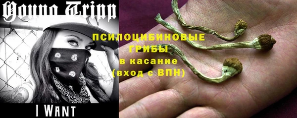 винт Арсеньев
