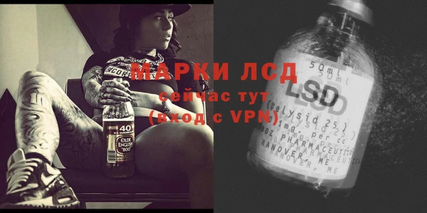 spice Аркадак