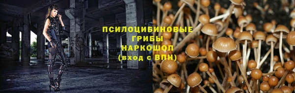ECSTASY Армянск