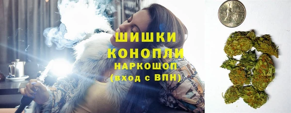 винт Арсеньев